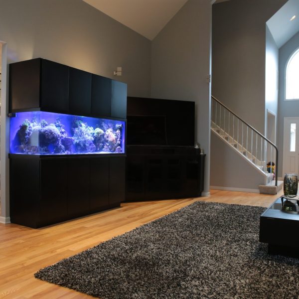 Residential Aquariums